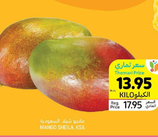  Mangoes  in أسواق التميمي in مملكة العربية السعودية, السعودية, سعودية - تبوك