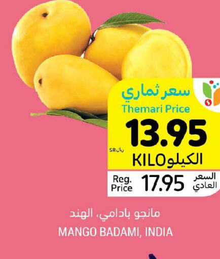  Mangoes  in Tamimi Market in KSA, Saudi Arabia, Saudi - Riyadh