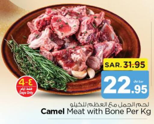  Camel meat  in نستو in مملكة العربية السعودية, السعودية, سعودية - المجمعة