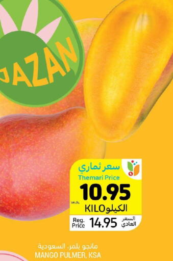  Mangoes  in أسواق التميمي in مملكة العربية السعودية, السعودية, سعودية - تبوك