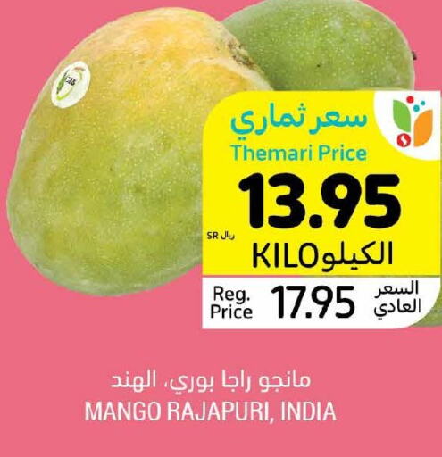  Apples  in Tamimi Market in KSA, Saudi Arabia, Saudi - Riyadh