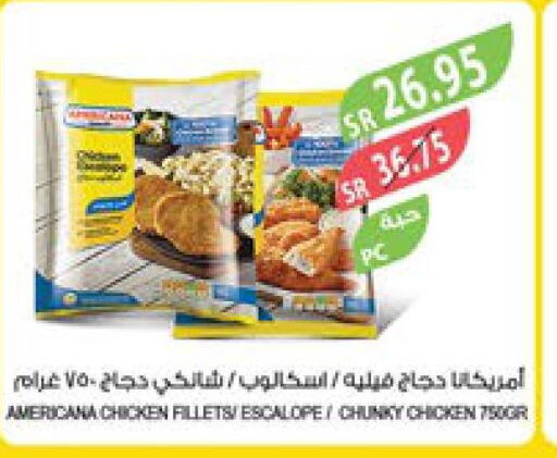 AMERICANA Chunky Chicken  in Farm  in KSA, Saudi Arabia, Saudi - Abha