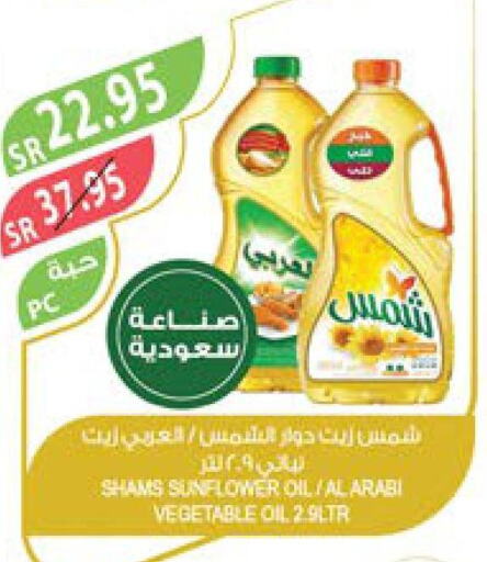 SHAMS Sunflower Oil  in Farm  in KSA, Saudi Arabia, Saudi - Al-Kharj
