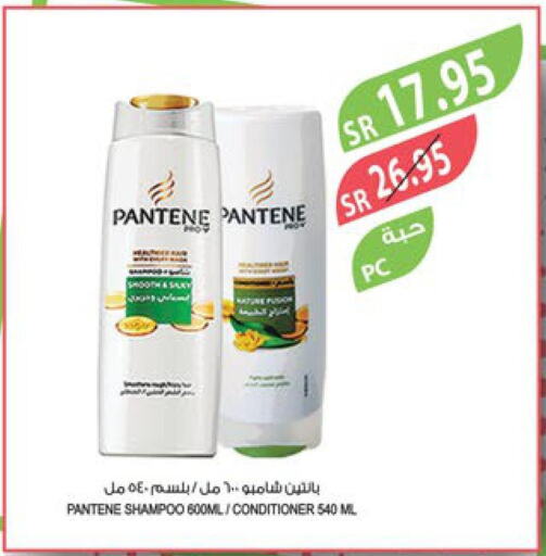 PANTENE Shampoo / Conditioner  in Farm  in KSA, Saudi Arabia, Saudi - Dammam