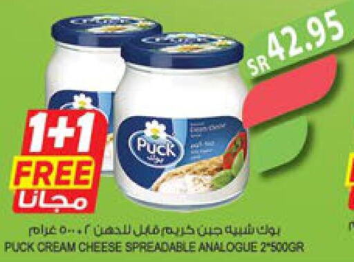 PUCK Analogue Cream  in Farm  in KSA, Saudi Arabia, Saudi - Jazan