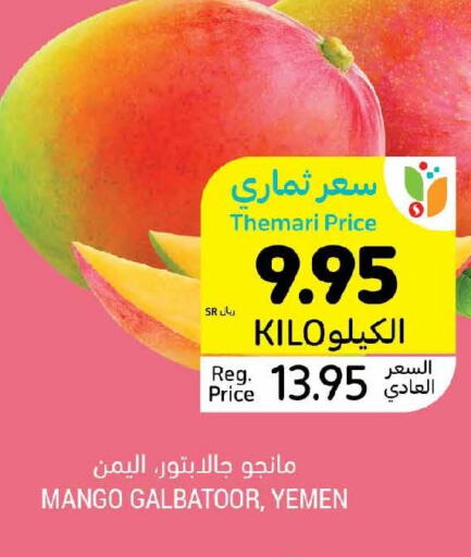  Mangoes  in Tamimi Market in KSA, Saudi Arabia, Saudi - Abha