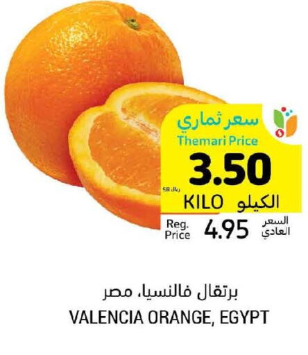  Orange  in Tamimi Market in KSA, Saudi Arabia, Saudi - Khafji