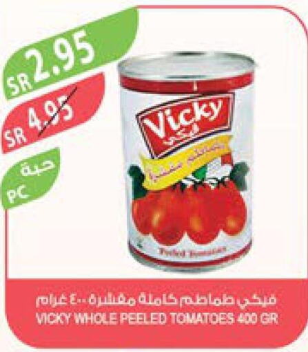 SAUDIA Tomato Ketchup  in Farm  in KSA, Saudi Arabia, Saudi - Najran