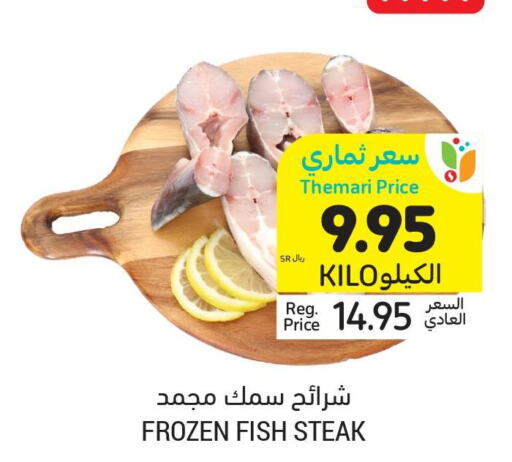  King Fish  in Tamimi Market in KSA, Saudi Arabia, Saudi - Dammam