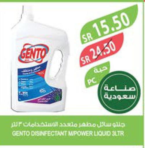 GENTO Disinfectant  in Farm  in KSA, Saudi Arabia, Saudi - Khafji