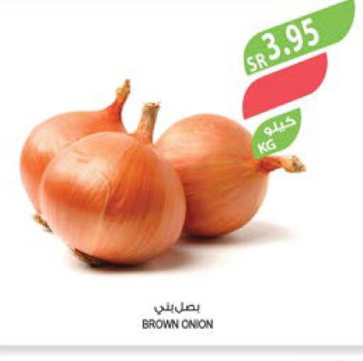  Onion  in المزرعة in مملكة العربية السعودية, السعودية, سعودية - الباحة
