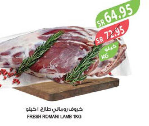  Mutton / Lamb  in المزرعة in مملكة العربية السعودية, السعودية, سعودية - القطيف‎