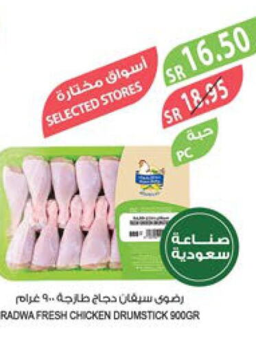  Chicken Drumsticks  in المزرعة in مملكة العربية السعودية, السعودية, سعودية - الرياض