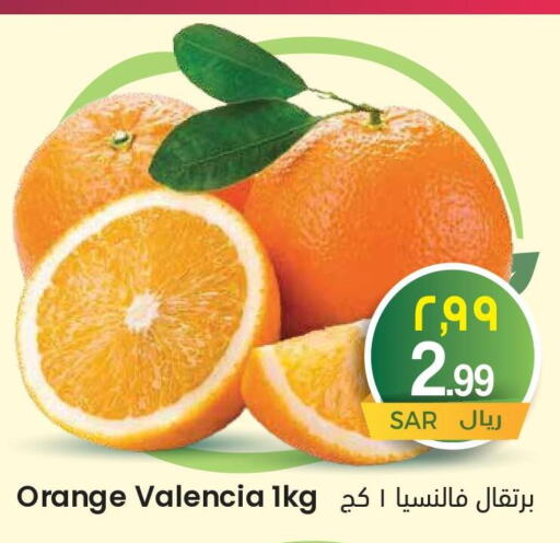 Orange  in ستي فلاور in مملكة العربية السعودية, السعودية, سعودية - سكاكا