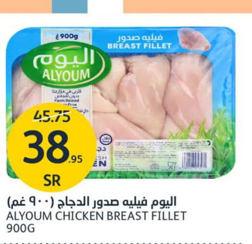 AL YOUM Chicken Breast  in مركز الجزيرة للتسوق in مملكة العربية السعودية, السعودية, سعودية - الرياض