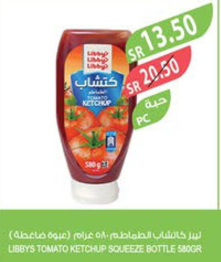  Tomato Ketchup  in Farm  in KSA, Saudi Arabia, Saudi - Jubail
