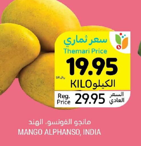  Mangoes  in أسواق التميمي in مملكة العربية السعودية, السعودية, سعودية - الرس