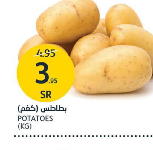 Potato  in مركز الجزيرة للتسوق in مملكة العربية السعودية, السعودية, سعودية - الرياض