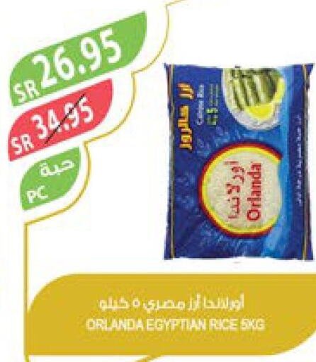  Egyptian / Calrose Rice  in المزرعة in مملكة العربية السعودية, السعودية, سعودية - الأحساء‎