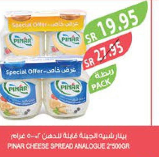 PINAR Analogue Cream  in Farm  in KSA, Saudi Arabia, Saudi - Arar