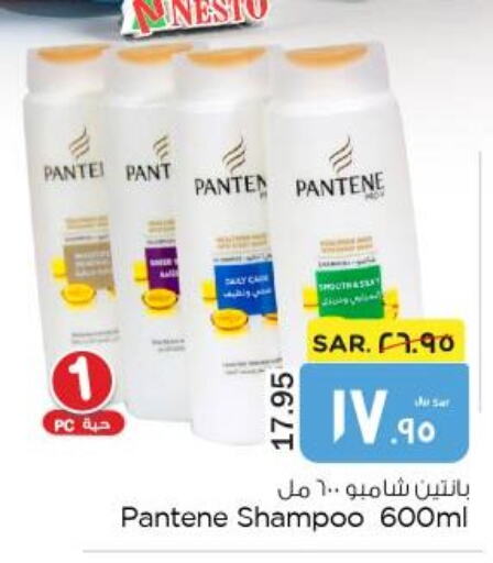 PANTENE Shampoo / Conditioner  in Nesto in KSA, Saudi Arabia, Saudi - Al Hasa