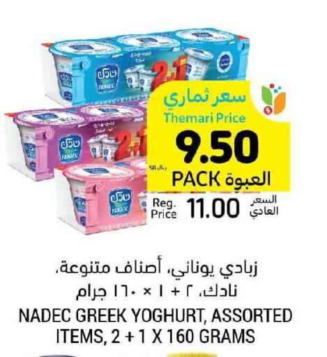 NADA Greek Yoghurt  in Tamimi Market in KSA, Saudi Arabia, Saudi - Ar Rass