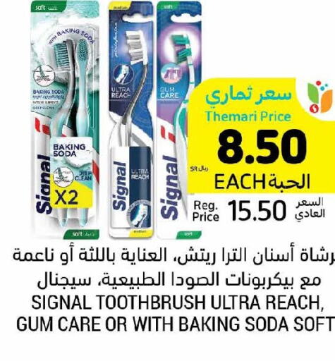 SIGNAL Toothbrush  in Tamimi Market in KSA, Saudi Arabia, Saudi - Hafar Al Batin