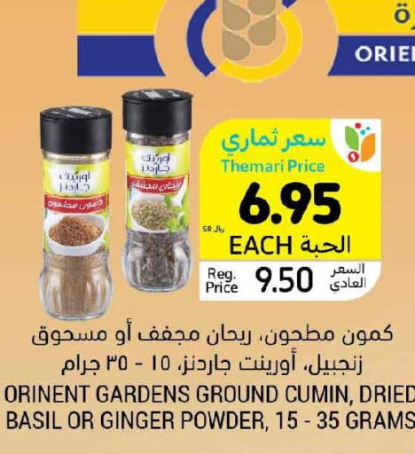  Spices / Masala  in Tamimi Market in KSA, Saudi Arabia, Saudi - Riyadh