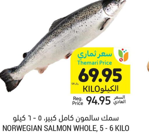  King Fish  in أسواق التميمي in مملكة العربية السعودية, السعودية, سعودية - بريدة