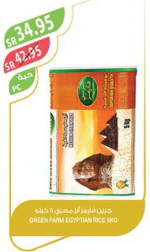  Egyptian / Calrose Rice  in المزرعة in مملكة العربية السعودية, السعودية, سعودية - تبوك