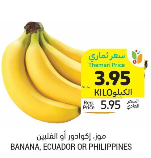  Banana  in أسواق التميمي in مملكة العربية السعودية, السعودية, سعودية - بريدة