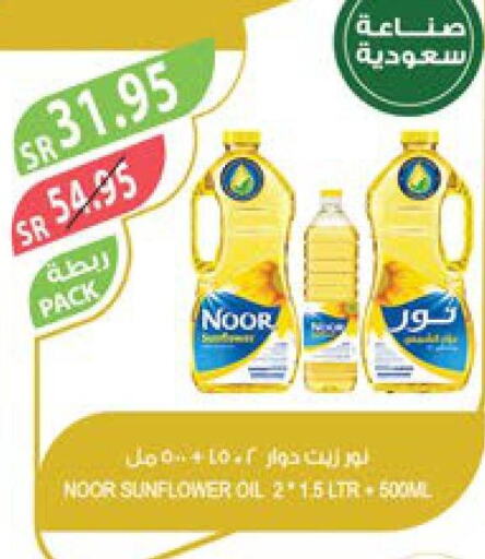NOOR Sunflower Oil  in Farm  in KSA, Saudi Arabia, Saudi - Dammam