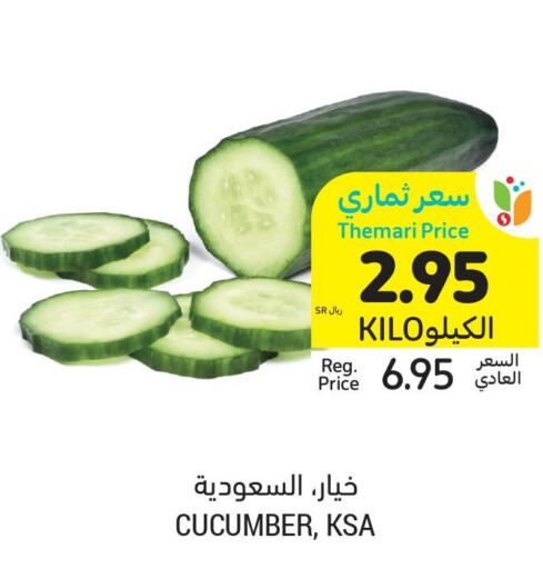  Cucumber  in Tamimi Market in KSA, Saudi Arabia, Saudi - Dammam