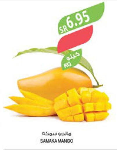 Mango Mango  in Farm  in KSA, Saudi Arabia, Saudi - Al Khobar