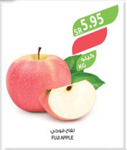  Apples  in المزرعة in مملكة العربية السعودية, السعودية, سعودية - نجران