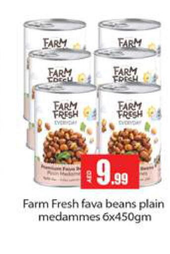  Fava Beans  in Gulf Hypermarket LLC in UAE - Ras al Khaimah