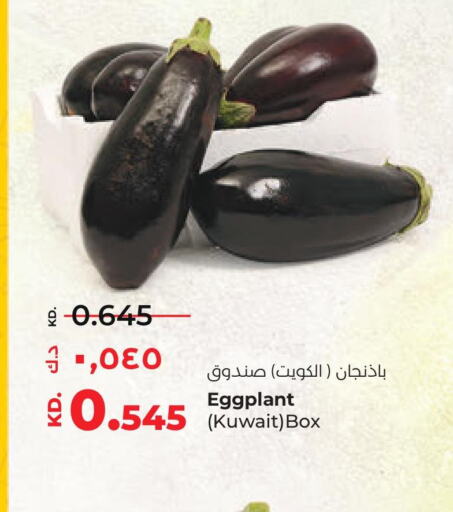 Cabbage  in لولو هايبر ماركت in الكويت - محافظة الأحمدي