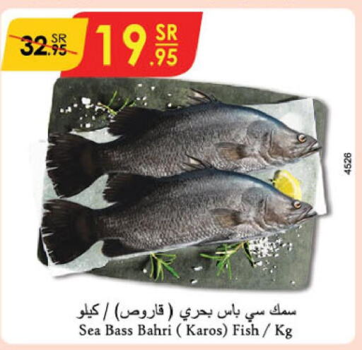  King Fish  in الدانوب in مملكة العربية السعودية, السعودية, سعودية - تبوك