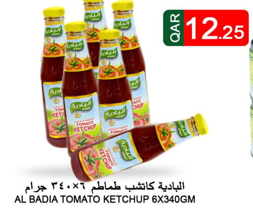  Tomato Ketchup  in قصر الأغذية هايبرماركت in قطر - أم صلال