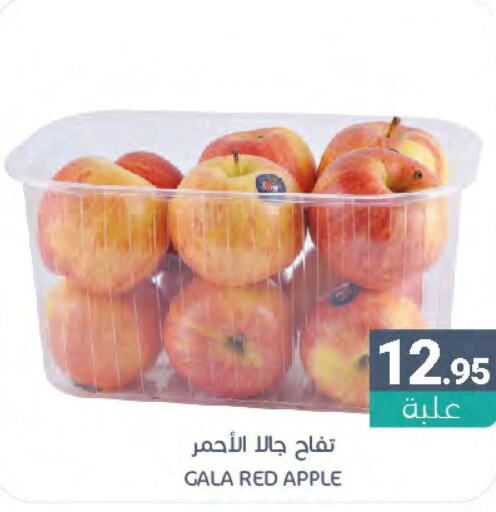  Apples  in Muntazah Markets in KSA, Saudi Arabia, Saudi - Dammam