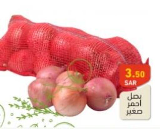  Onion  in أسواق رامز in مملكة العربية السعودية, السعودية, سعودية - الأحساء‎