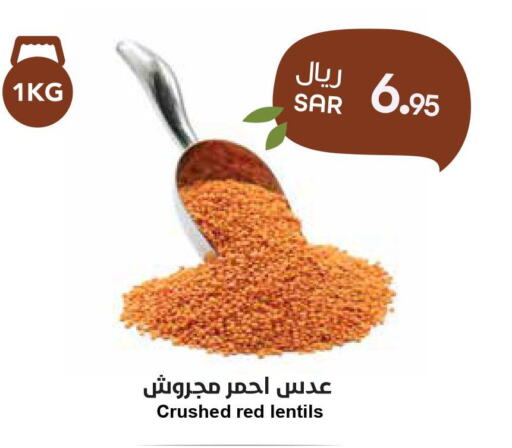  in Consumer Oasis in KSA, Saudi Arabia, Saudi - Dammam