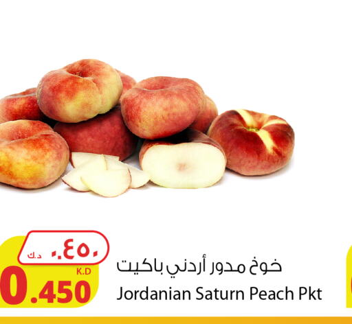  Peach  in شركة المنتجات الزراعية الغذائية in الكويت - محافظة الأحمدي