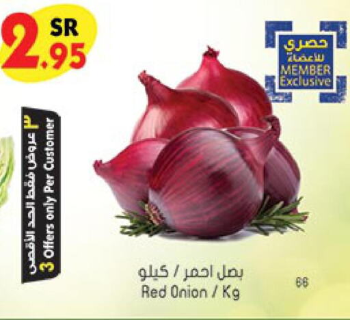  Onion  in Bin Dawood in KSA, Saudi Arabia, Saudi - Khamis Mushait
