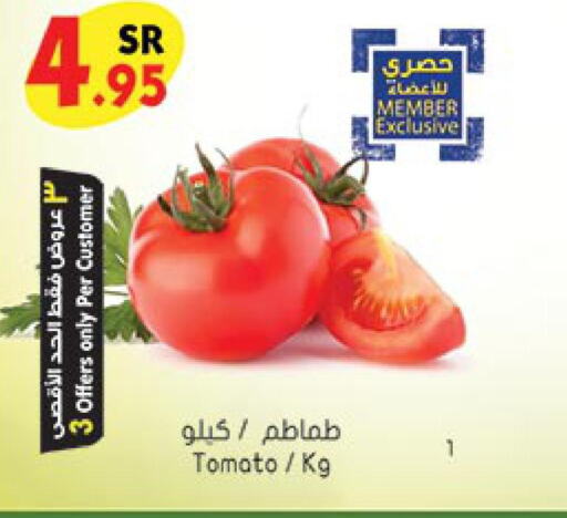  Tomato  in بن داود in مملكة العربية السعودية, السعودية, سعودية - المدينة المنورة