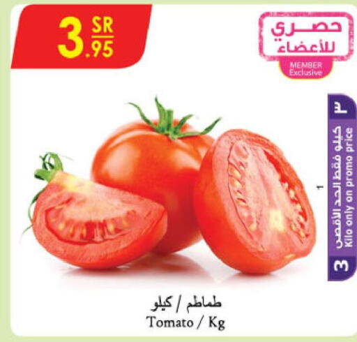  Tomato  in الدانوب in مملكة العربية السعودية, السعودية, سعودية - خميس مشيط