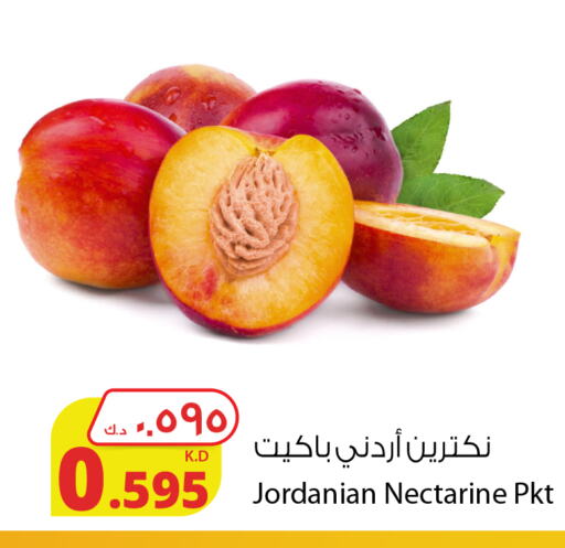  Feta  in شركة المنتجات الزراعية الغذائية in الكويت - محافظة الجهراء
