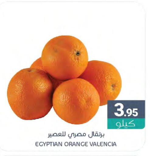  Orange  in Muntazah Markets in KSA, Saudi Arabia, Saudi - Saihat