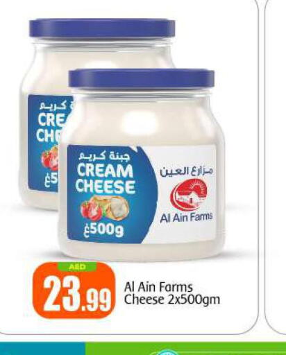 AL AIN Cream Cheese  in بيج مارت in الإمارات العربية المتحدة , الامارات - أبو ظبي