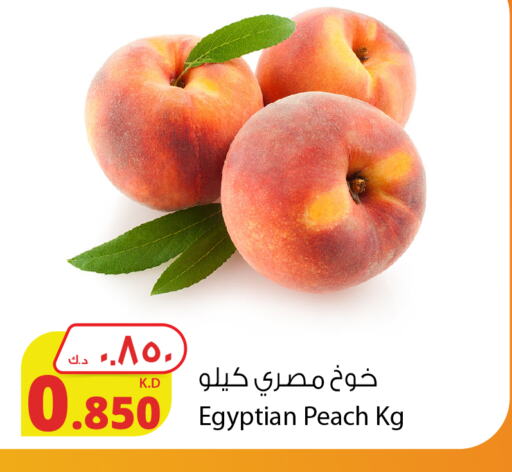  Peach  in شركة المنتجات الزراعية الغذائية in الكويت - مدينة الكويت